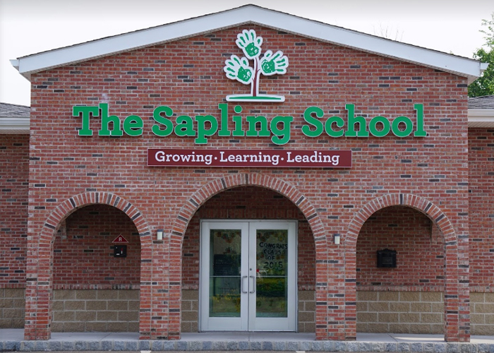 MEP Project, Sapling